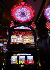trvbet Brasília - Betting Features