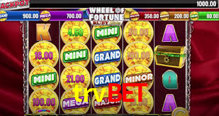 trvbet
